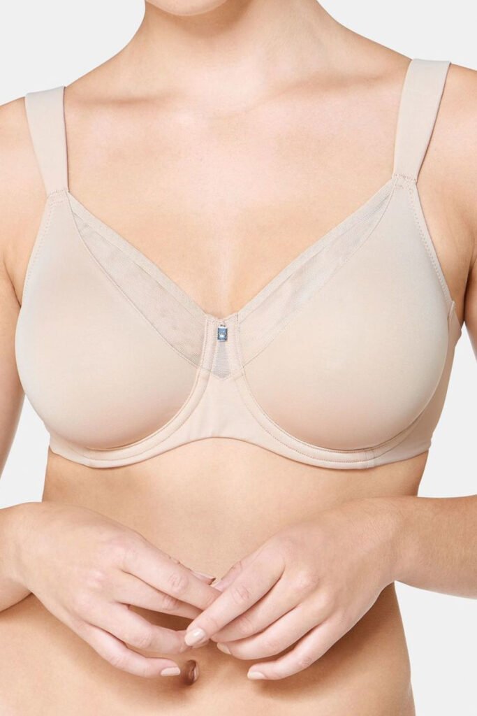 Soft model 229499 Triumph